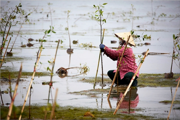 Việt Nam thúc đẩy bảo đảm quyền bình đẳng của phụ nữ trong ứng phó với biến đổi khí hậu khi tham gia Hội đồng nhân quyền