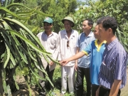 Tỉnh Cà Mau thực hiện mục tiêu xóa nghèo cho đồng bào dân tộc Khmer 