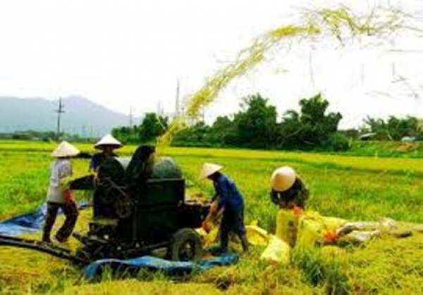 Phát triển sản xuất lúa gạo ở Việt Nam trong điều kiện biến đổi khí hậu