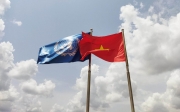 Sự tham gia của các tổ chức thành viên Liên hợp quốc tại Việt Nam trong xây dựng pháp luật