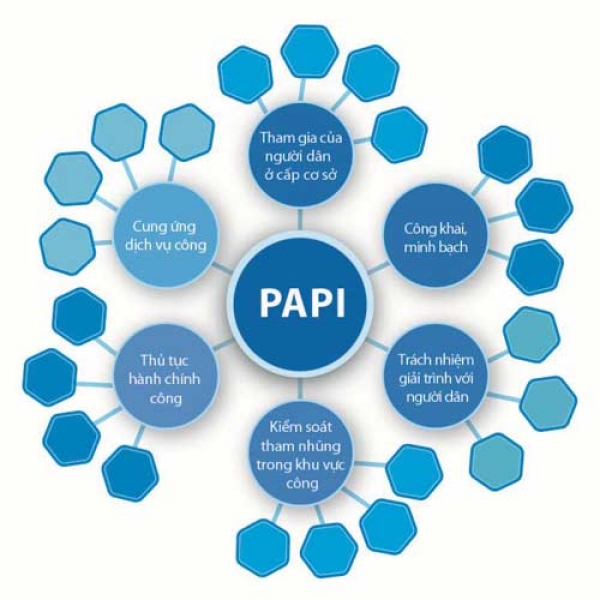 Mối tương quan giữa các chỉ số PAPI và PCI  (từ thực tiễn Thành phố Hồ Chí Minh)