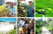 Một số giải pháp phát triển nông nghiệp trong bối cảnh hội nhập quốc tế