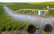 Nghiên cứu, ứng dụng khoa học - công nghệ phục vụ phát triển nông nghiệp hiện đại, bền vững